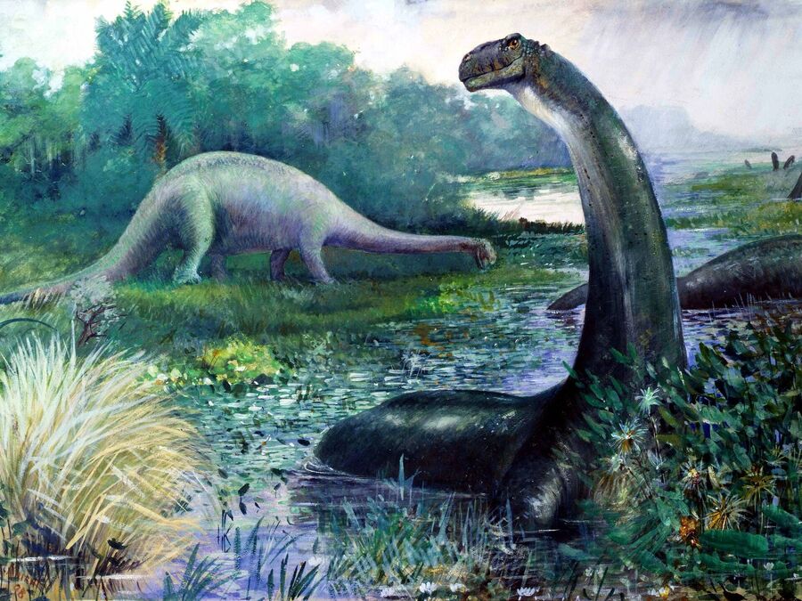 Mokele-Mbembe cryptozoid animal congo