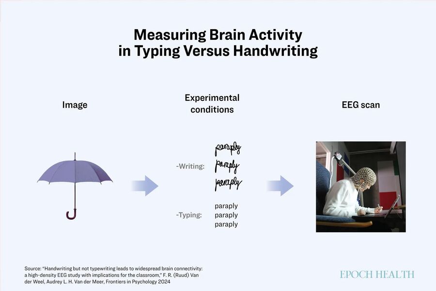 Click to enlarge Brain activity and hand writing