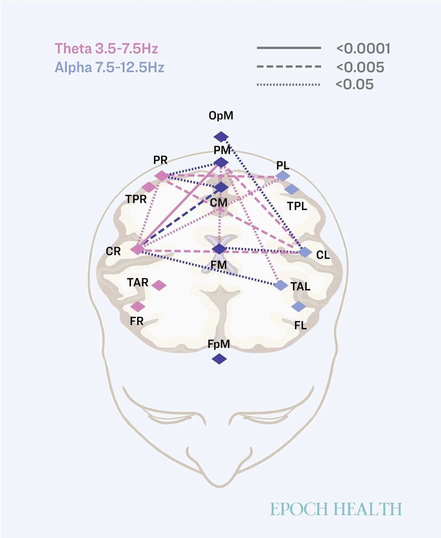 Click to enlarge Neural connection during handwriting