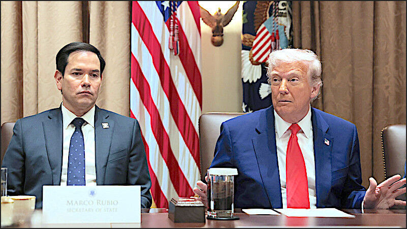 Click to enlarge RubioTrump