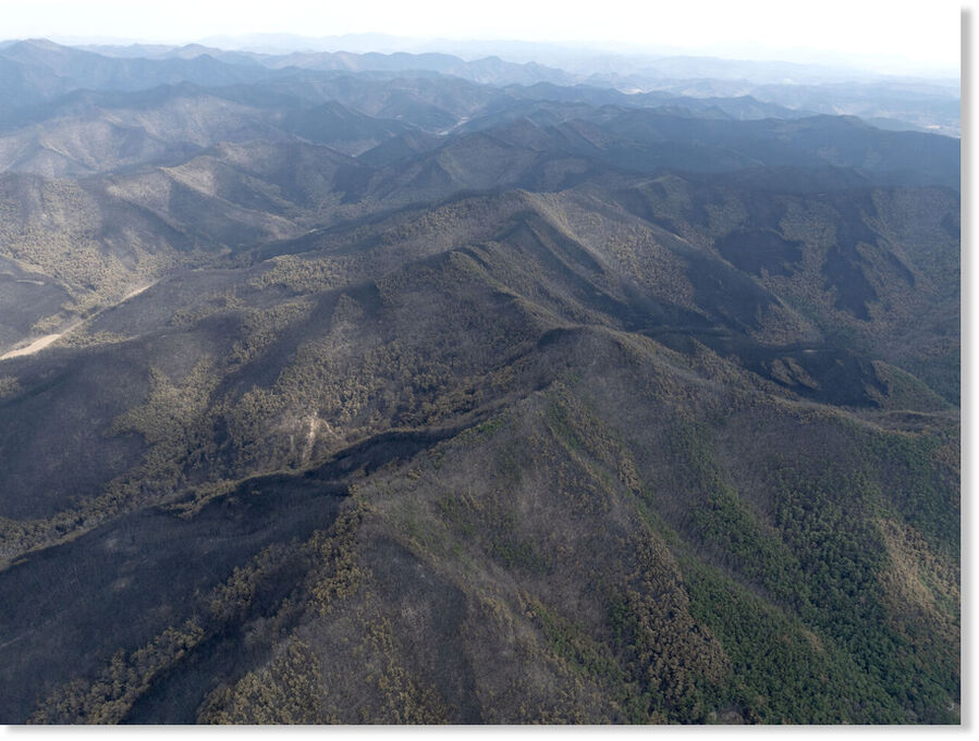 Andong wildfires