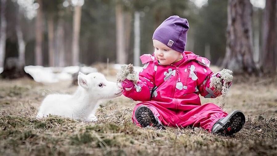 arctic tribe sami child reindeer