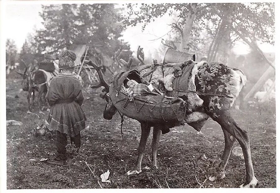 Click to enlarge sami reindeer herders traditional dress