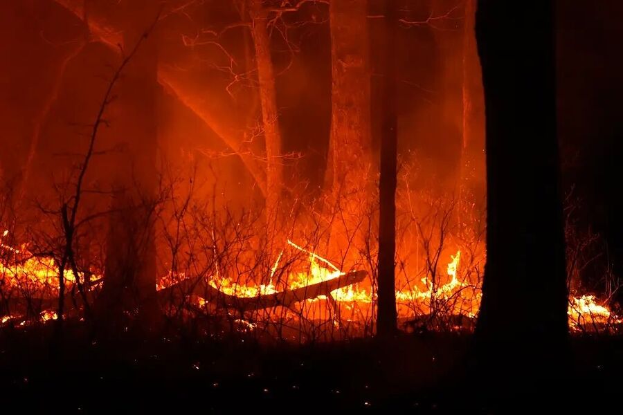 Click to enlarge new jersey wildfire