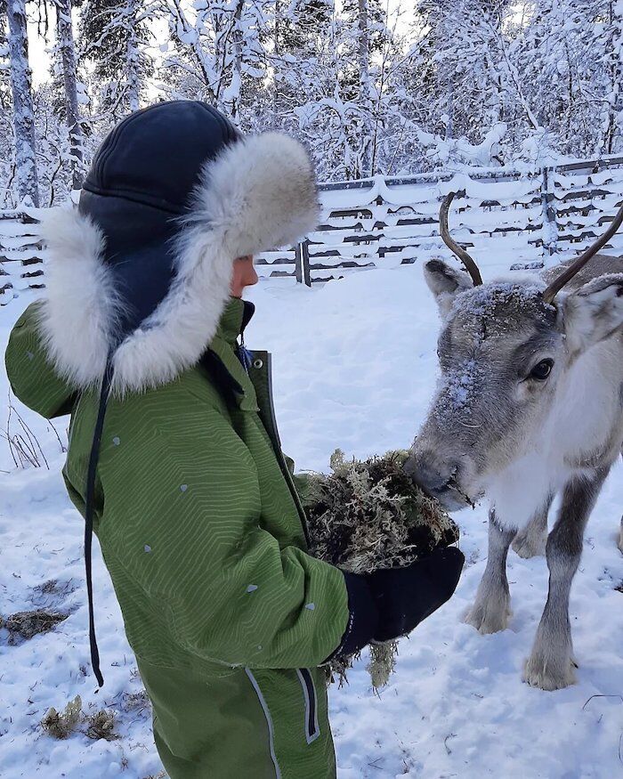 Click to enlarge sami reindeer child