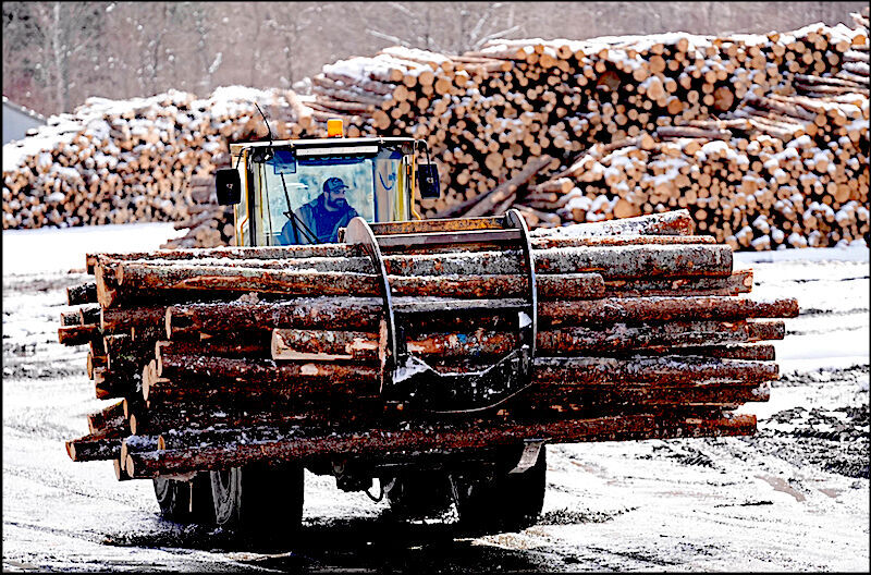 Logger load