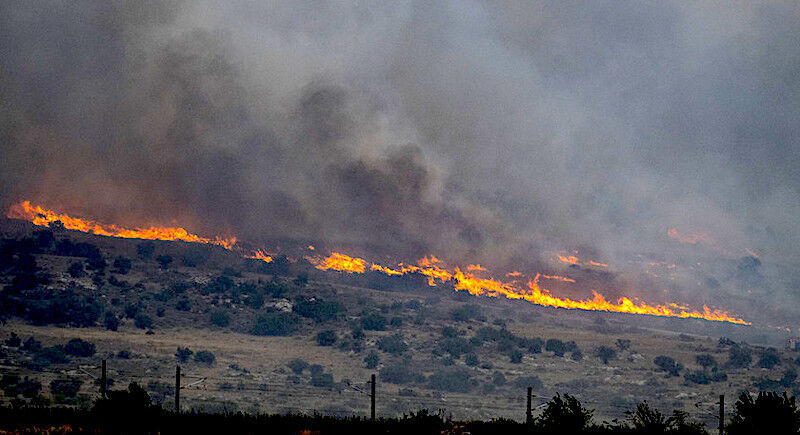 wild fire