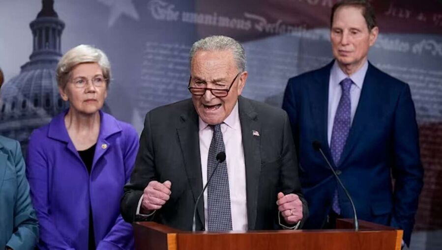 Click to enlarge Warren schumer satire