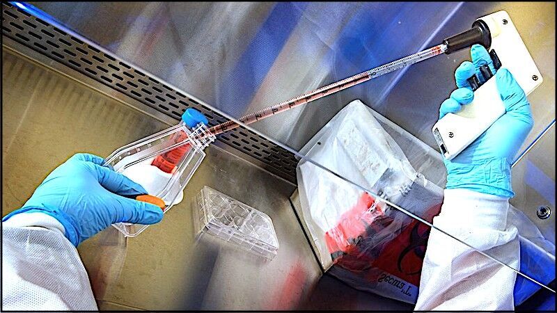 Click to enlarge lab prepping