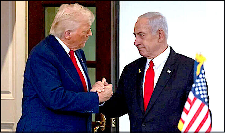 Click to enlarge DonNet