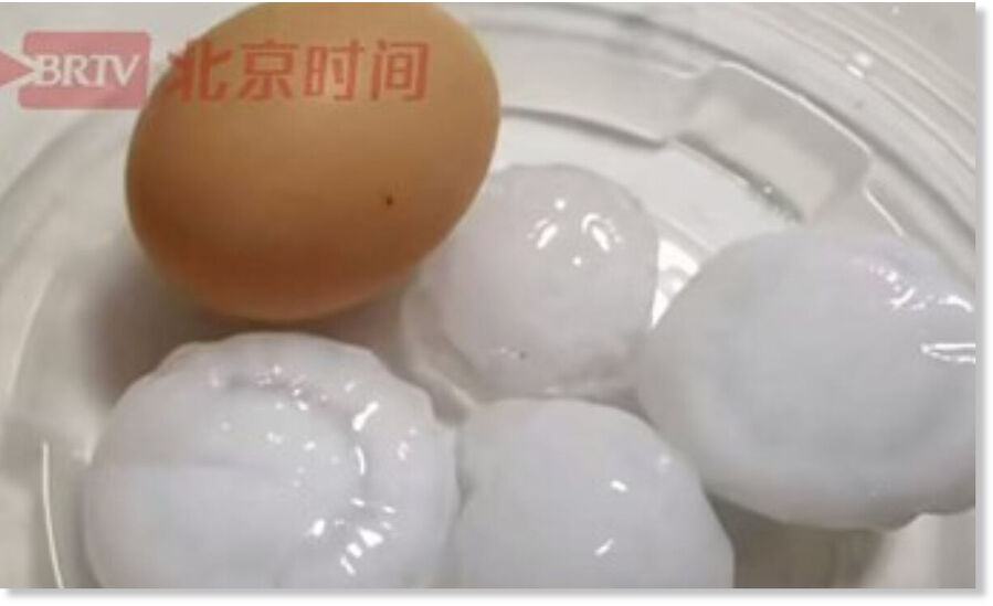 Egg-sized hailstones shared by netizens