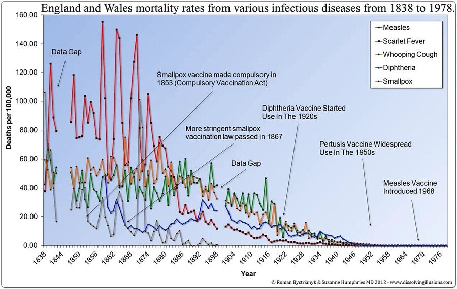 Click to enlarge britain mortality rate infectious diseases one century