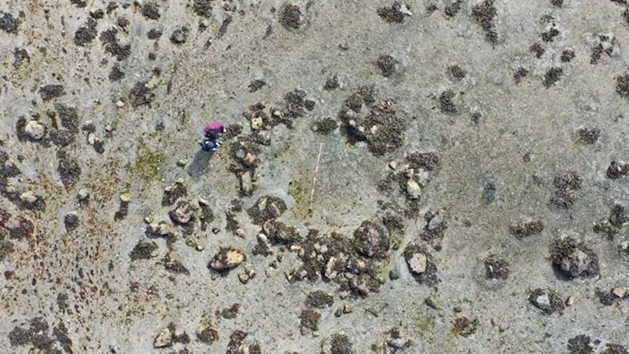 stone circle scotland migration ancient people