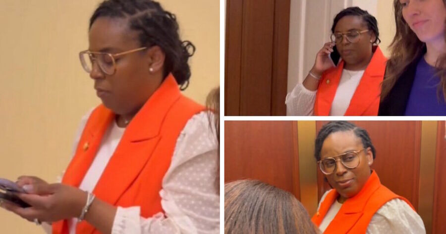 Rep. Lamonica McIver assault ice agent