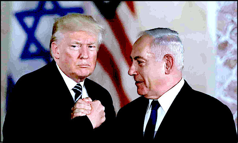 trumpNeti
