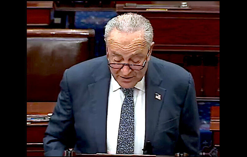 Click to enlarge Schumer