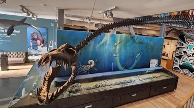 Click to enlarge Museum display