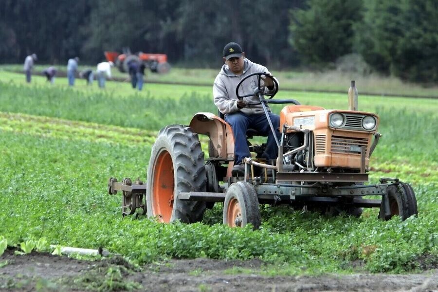 Click to enlarge organic farmer