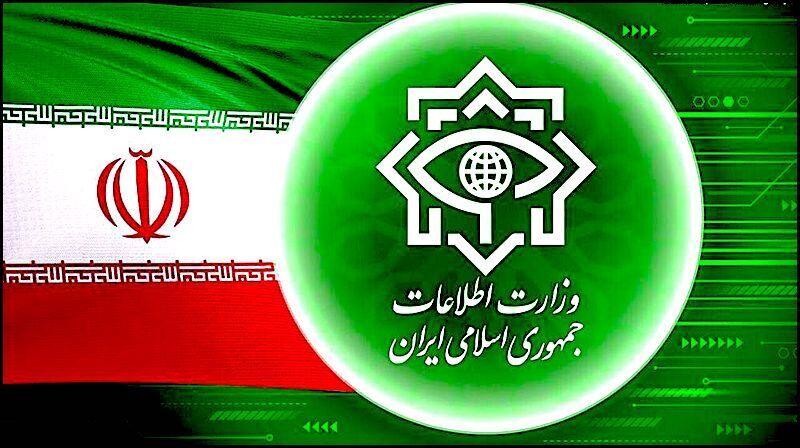 Iran flag logo