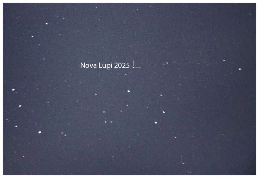 Nova in Lupus