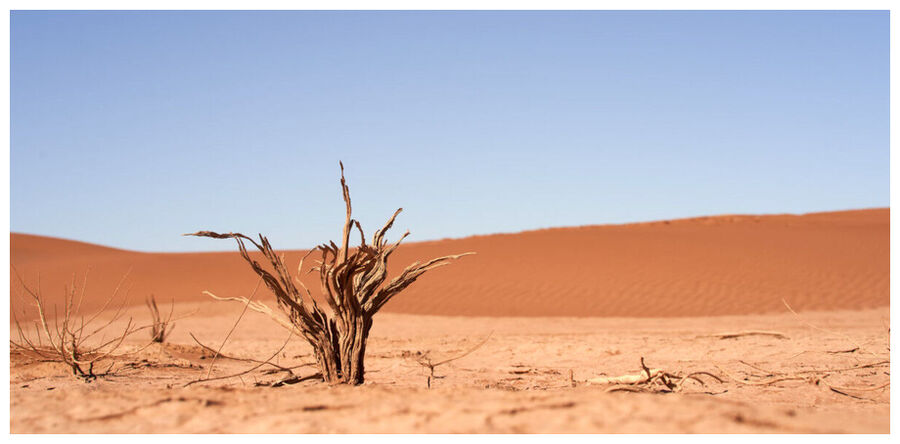 Click to enlarge Extinction