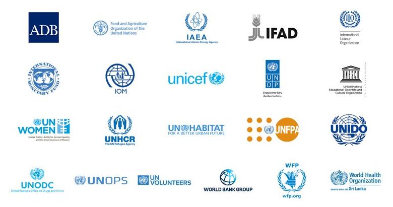 UN-Affiliated Organisations
