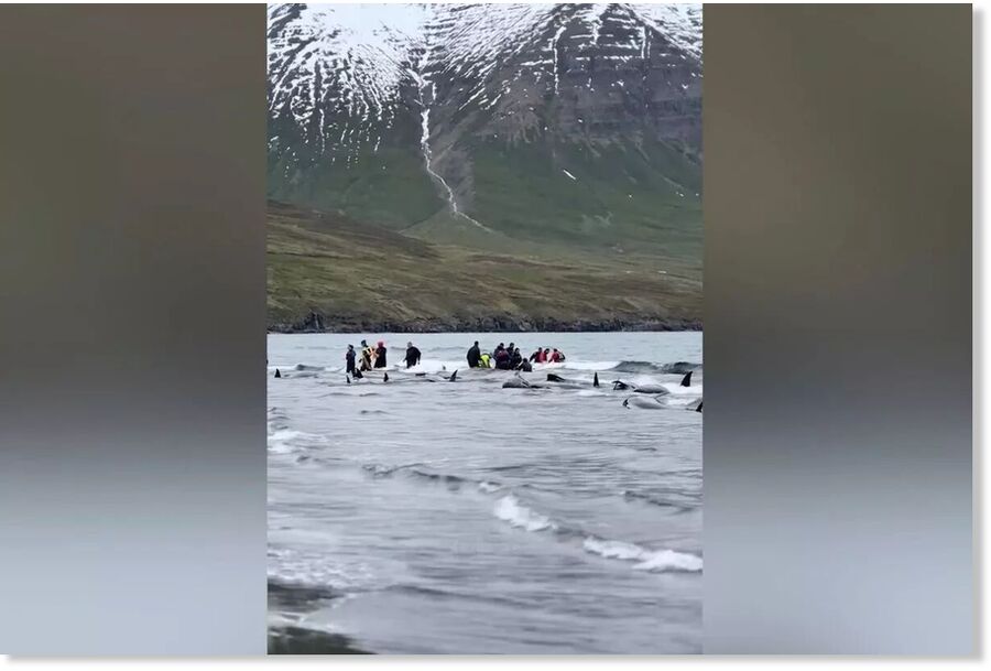 Click to enlarge A huge rescue operation was launched