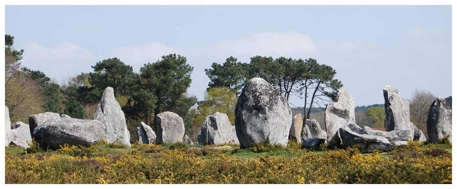 Click to enlarge The Carnac stones