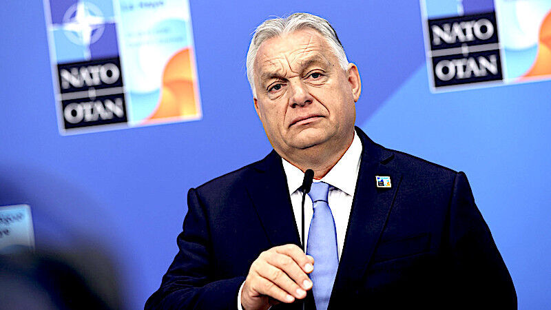 Click to enlarge Orban