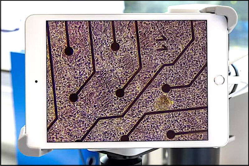 Click to enlarge PUrple board w holes