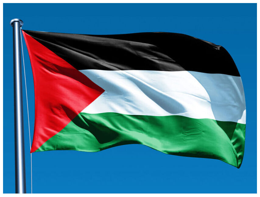Click to enlarge Palestine Flag