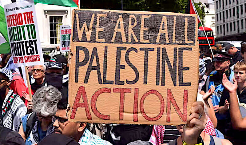 Palestine support crowd
