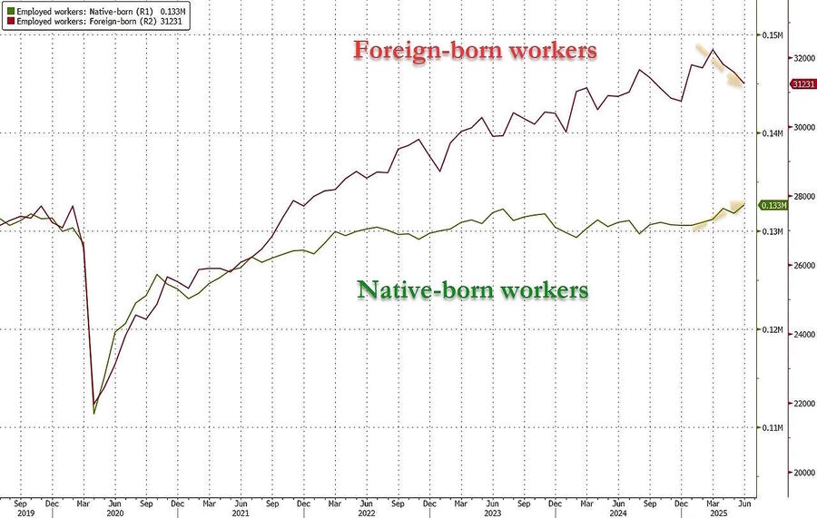 job statistics foreign born vs native usa
