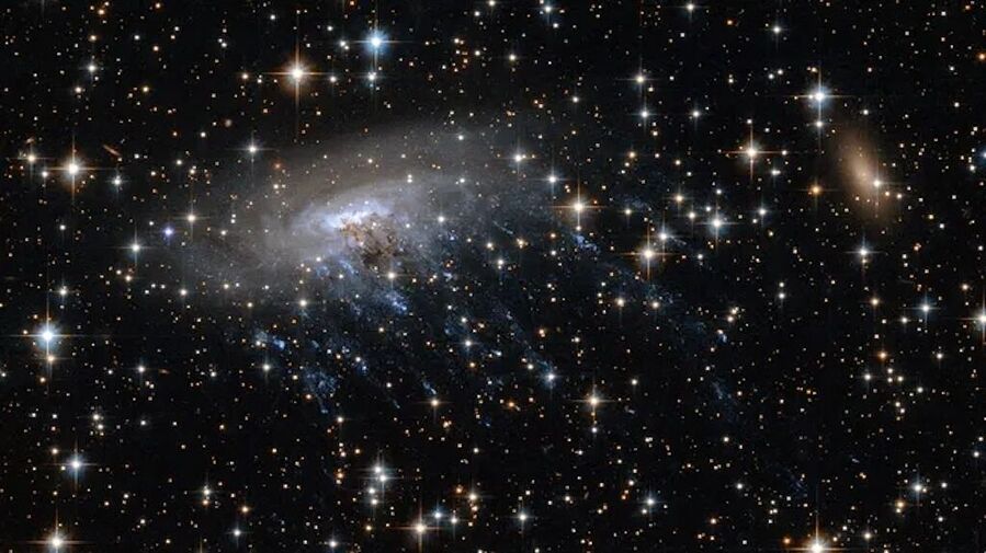 jellyfish galaxy