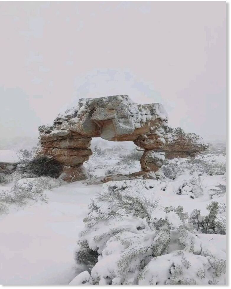 Click to enlarge nnnnn