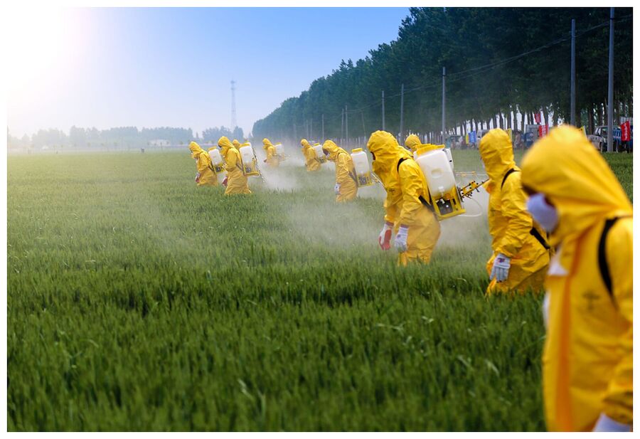 Pesticide