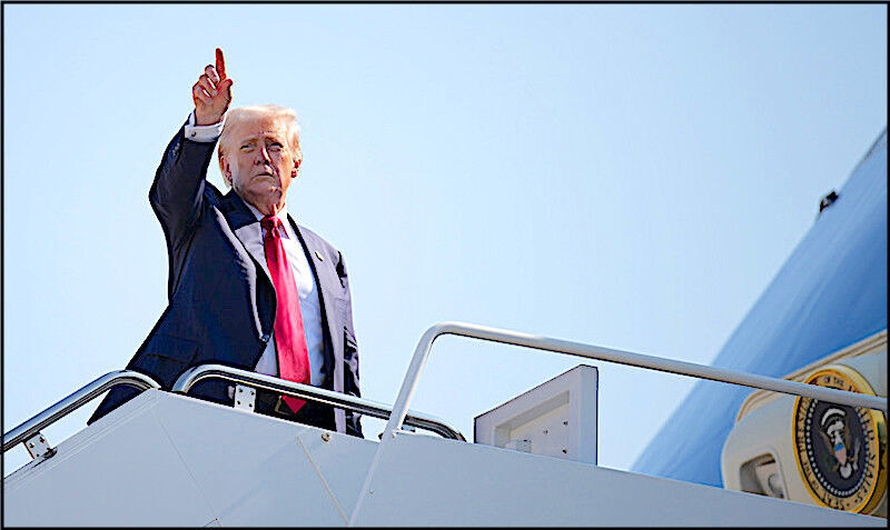 Donald T