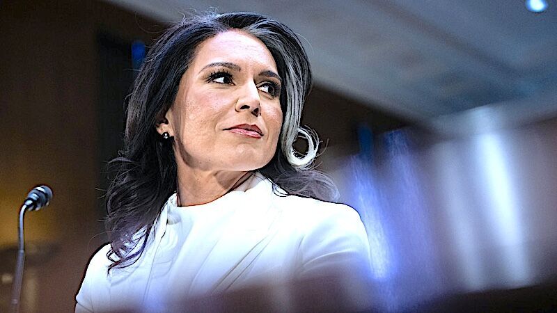 Tulsi Gabbard