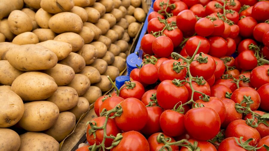 Click to enlarge potatoes tomatoes ancient hybred