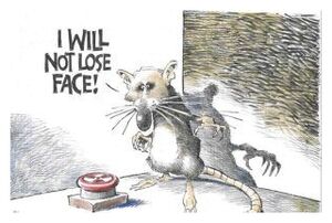 Rat Cornered