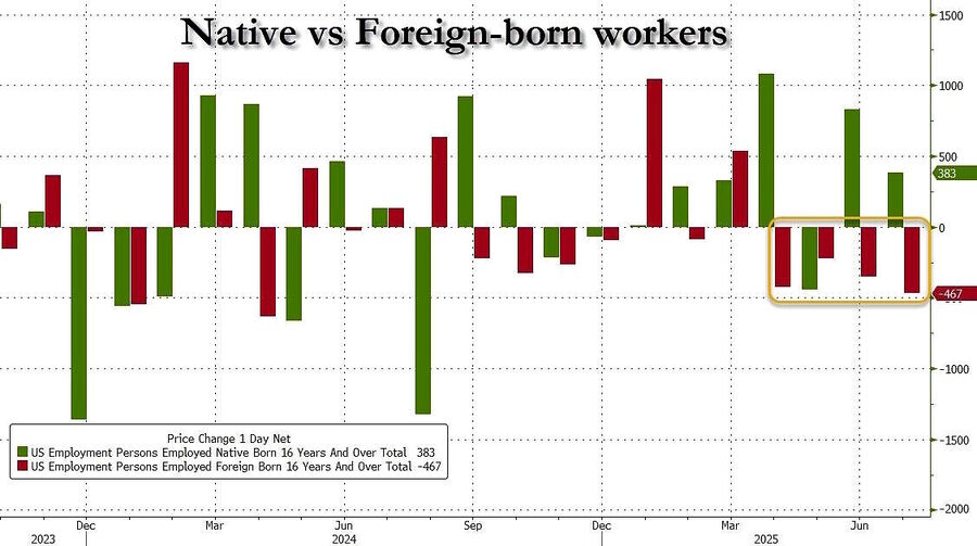 native foreign born workers statistics july 2025