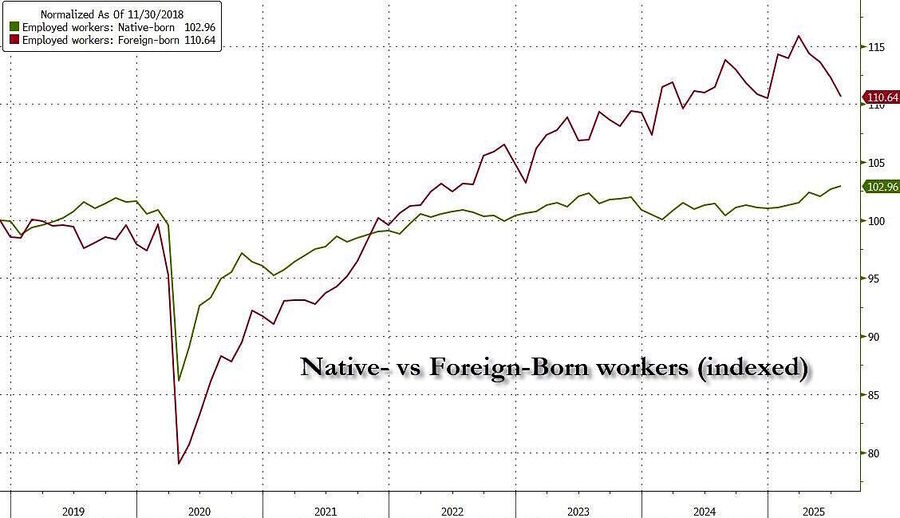 native foreign born workers statistics july 2025 indexed