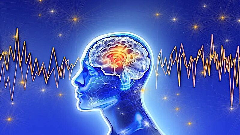Brain stuff