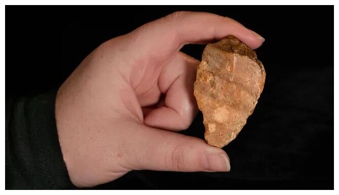 Ancient Fossil