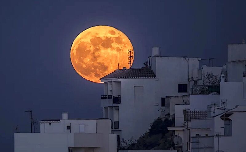 Sturgeon Moon
