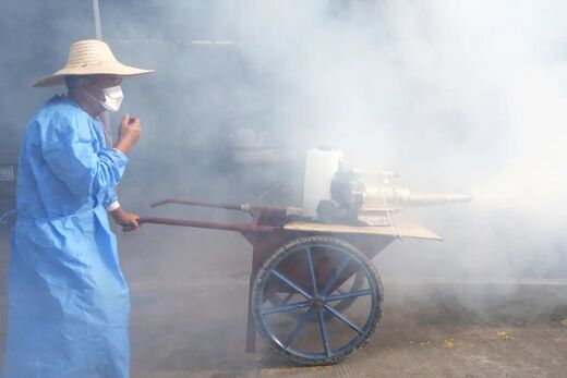 Click to enlarge Dongguan chikungunya virus China insecticide