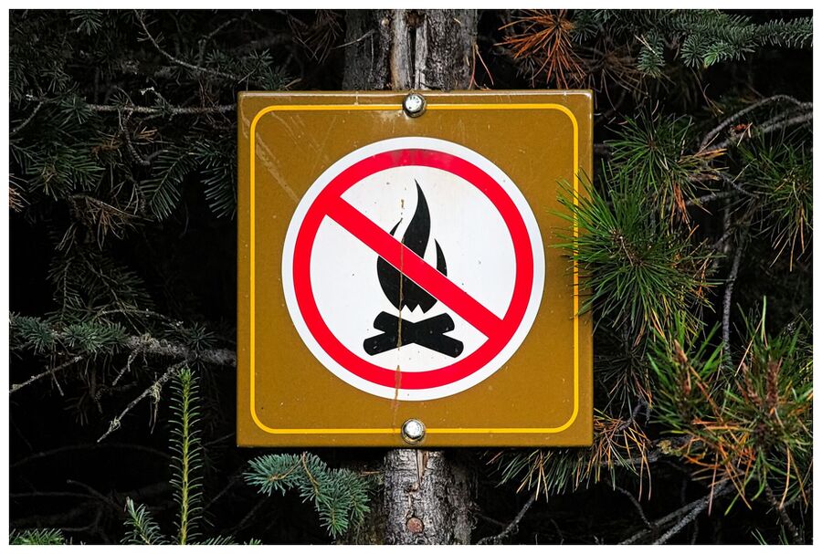 Click to enlarge A no campfire sign posted on a tree.