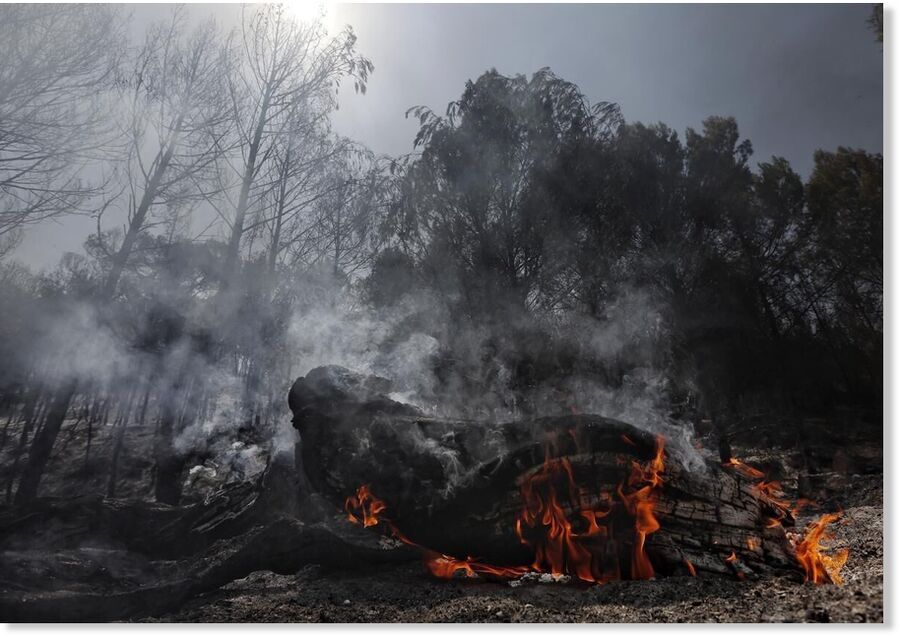 Area affected by the fire in the town of Carcastillo in Navarre.