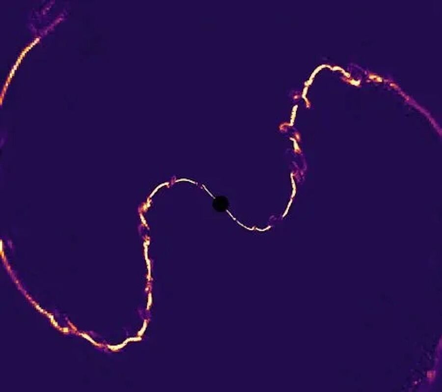 simulation black hole pulsar swallow neutron star