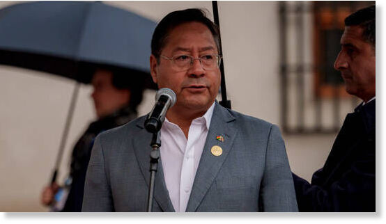 Luis Arce Catacora